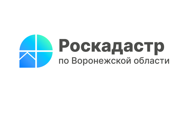 Региональный Роскадастр подвел итоги первого года работы.