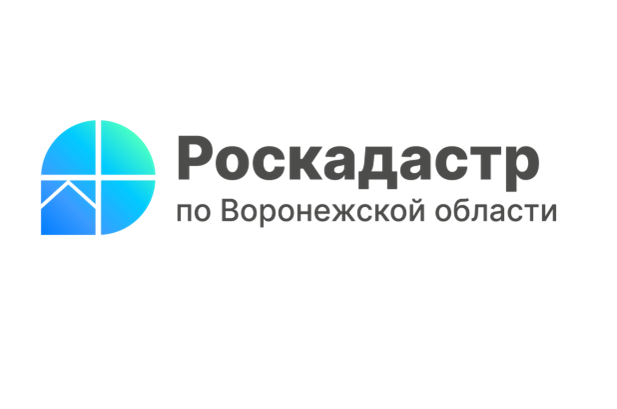 Все территориальные зоны Воронежской области, установленные ПЗЗ,  внесены в ЕГРН.